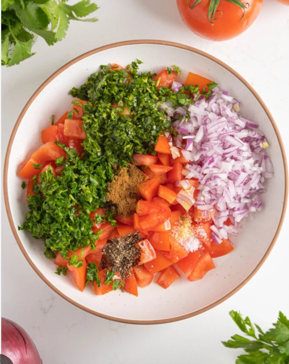 Moroccan salsa Fresh onion with tomatoes and olives oil